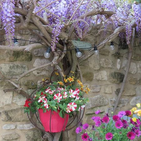 La Maison Wisteria Saint-Pantaléon-les-Vignes エクステリア 写真