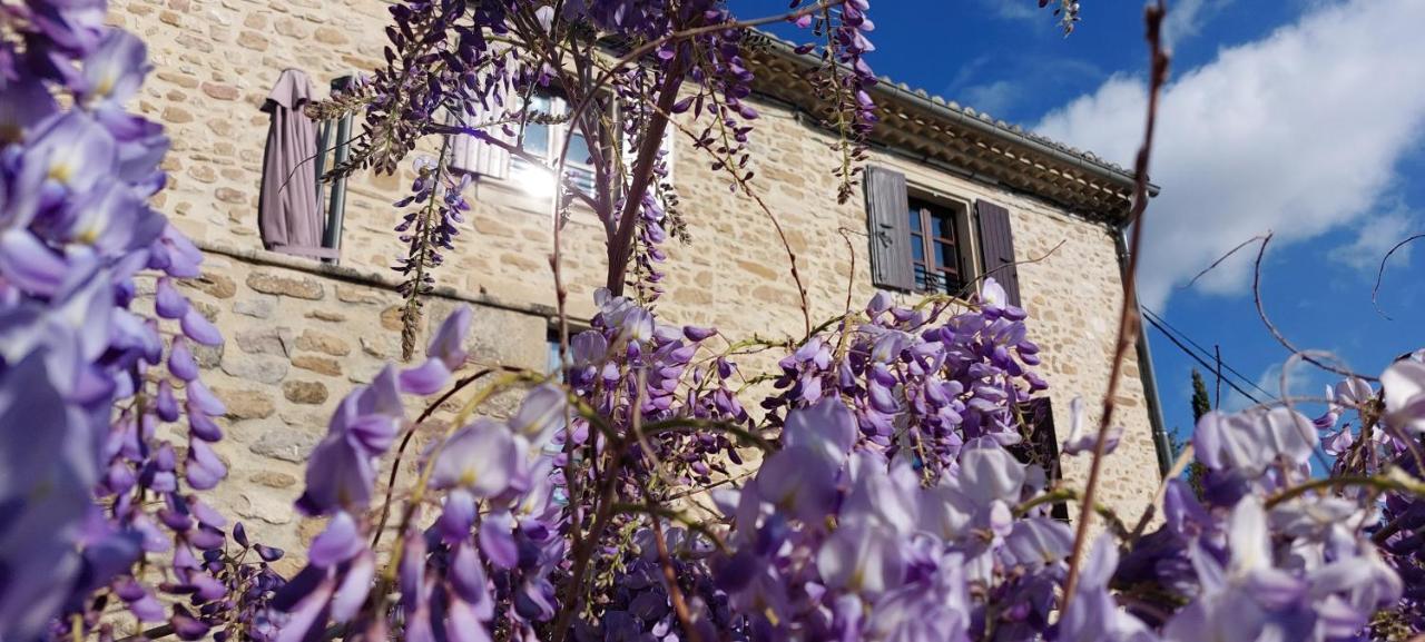 La Maison Wisteria Saint-Pantaléon-les-Vignes エクステリア 写真