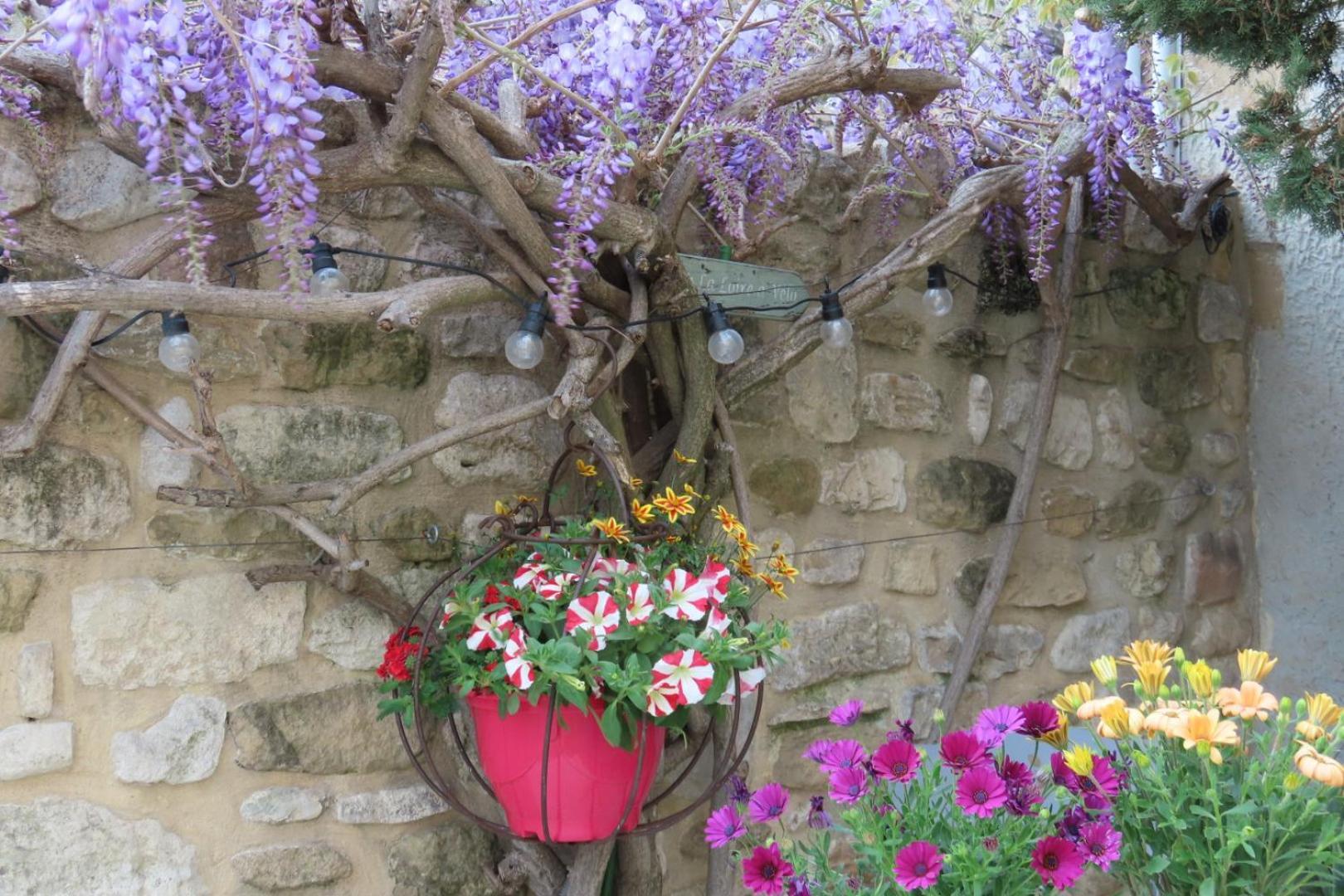 La Maison Wisteria Saint-Pantaléon-les-Vignes エクステリア 写真